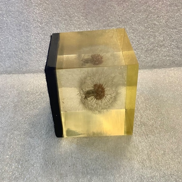 Mid Century Dandelion Flower Lucite Cube Paperweight by Gumps USA 1960s - Picture 3 of 10